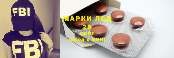 крисы Абаза