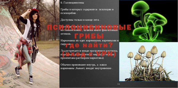 ALPHA-PVP Абинск