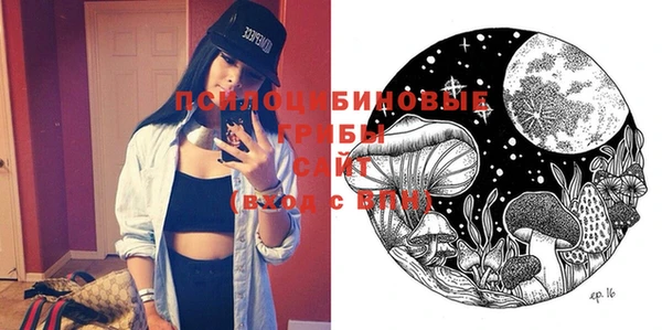 крисы Абаза