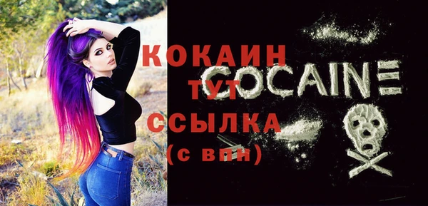 крисы Абаза