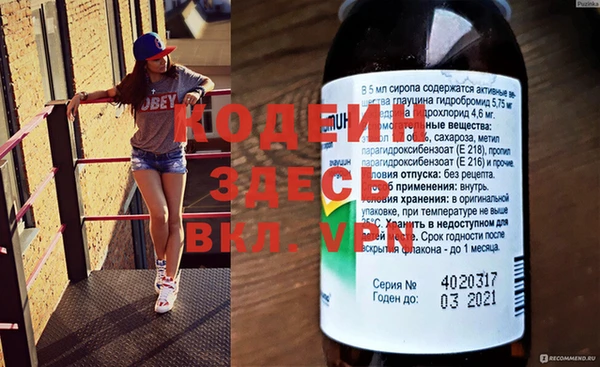 крисы Абаза