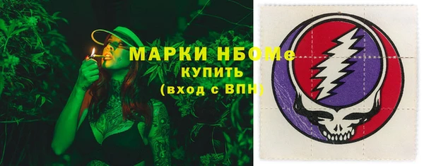 крисы Абаза